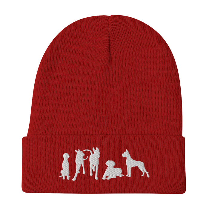 "Just Danes" — Embroidered Beanie (GDRS)
