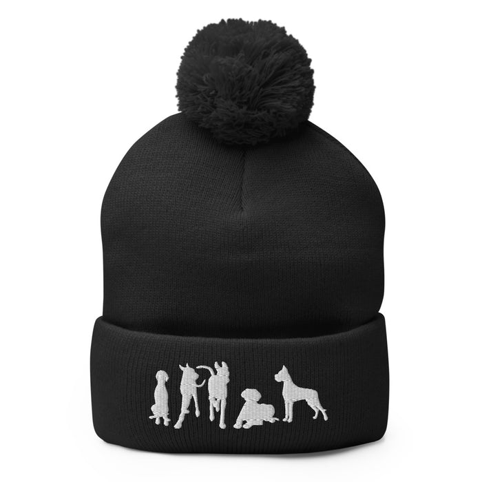 "Just Danes" — Embroidered Pom-Pom Beanie (GDRS)