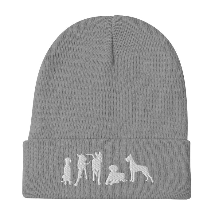 "Just Danes" — Embroidered Beanie (GDRS)