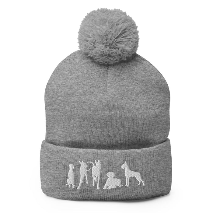 "Just Danes" — Embroidered Pom-Pom Beanie (GDRS)