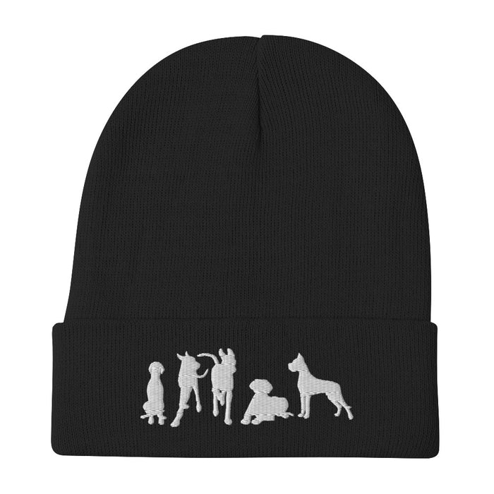 "Just Danes" — Embroidered Beanie (GDRS)