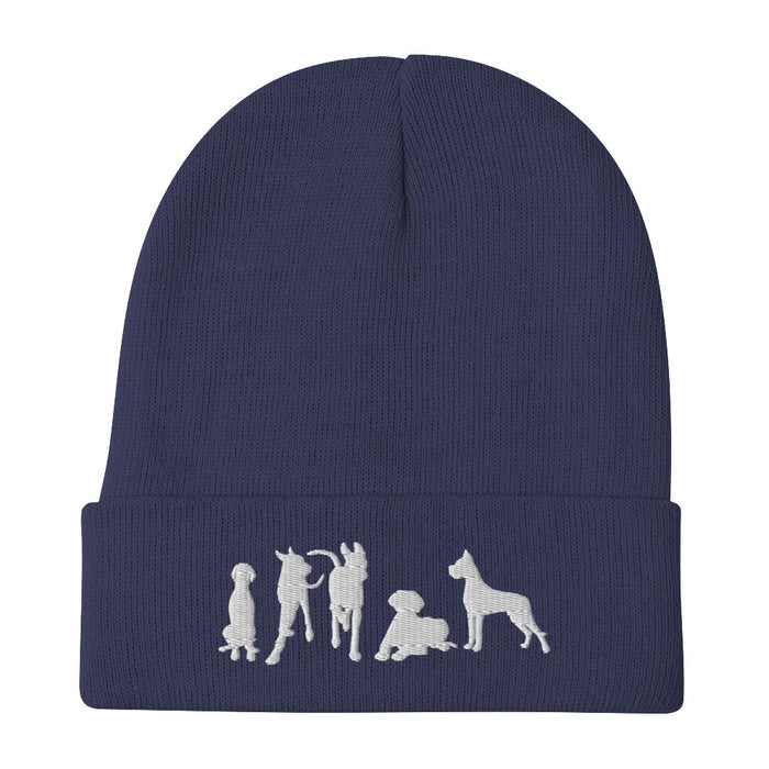 "Just Danes" — Embroidered Beanie (GDRS)