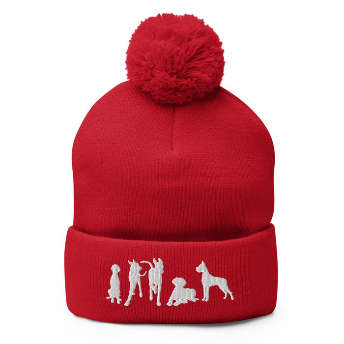 "Just Danes" — Embroidered Pom-Pom Beanie (GDRS)