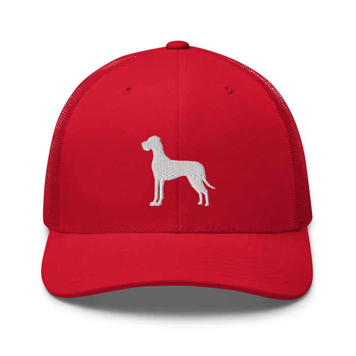 "Floppy Ears" Mesh Hat