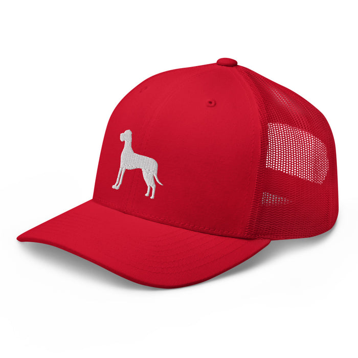 "Floppy Ears" Mesh Hat