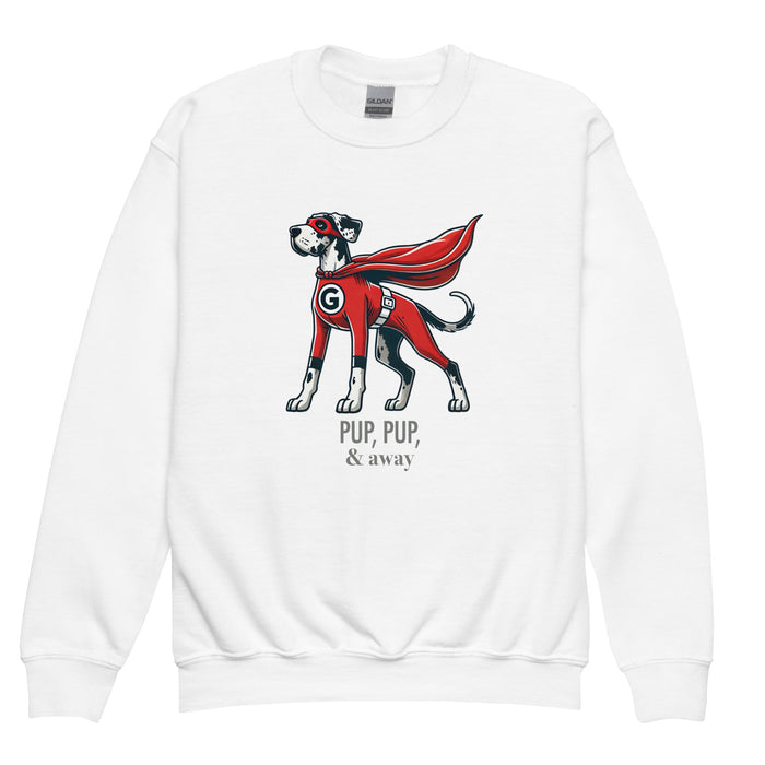 Superhero Youth Sweatshirt