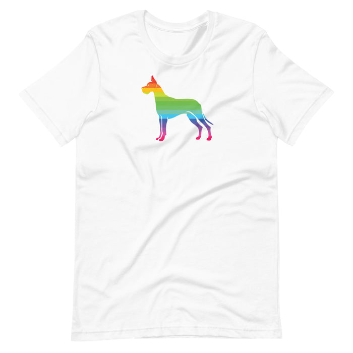 "Rainbow Dane" — UMGDR T-Shirt